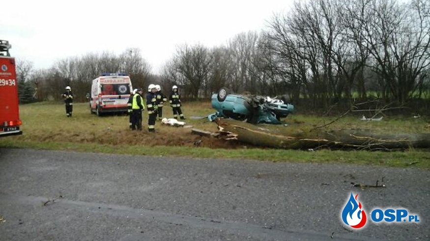 Groźny wypadek w Kamieńcu - kierowca wyrwał drzewo OSP Ochotnicza Straż Pożarna