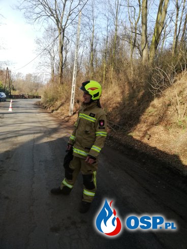 Pożar domu w miejscowości Pietrowice OSP Ochotnicza Straż Pożarna