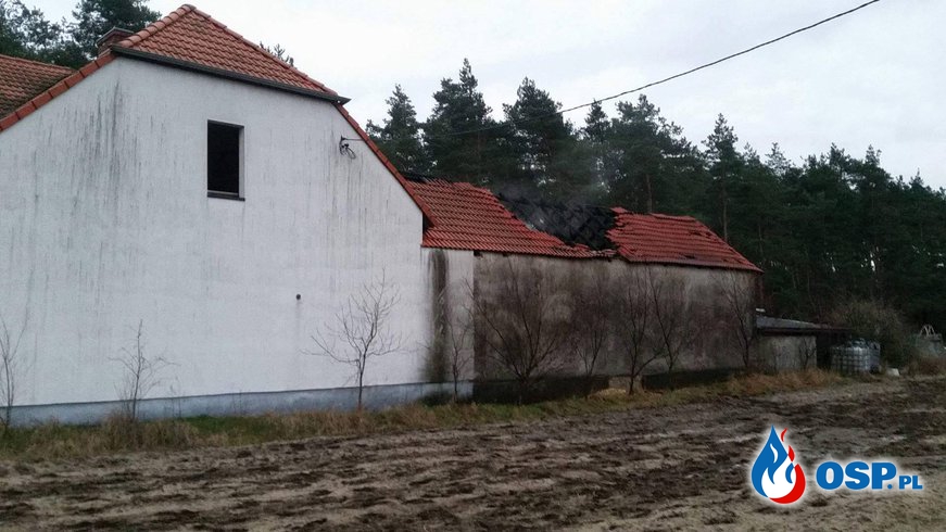 Pożar stolarni w miejscowości Sucha. OSP Ochotnicza Straż Pożarna