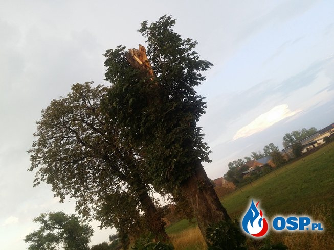 Usuwanie skutków burzy na granicy gmin OSP Ochotnicza Straż Pożarna