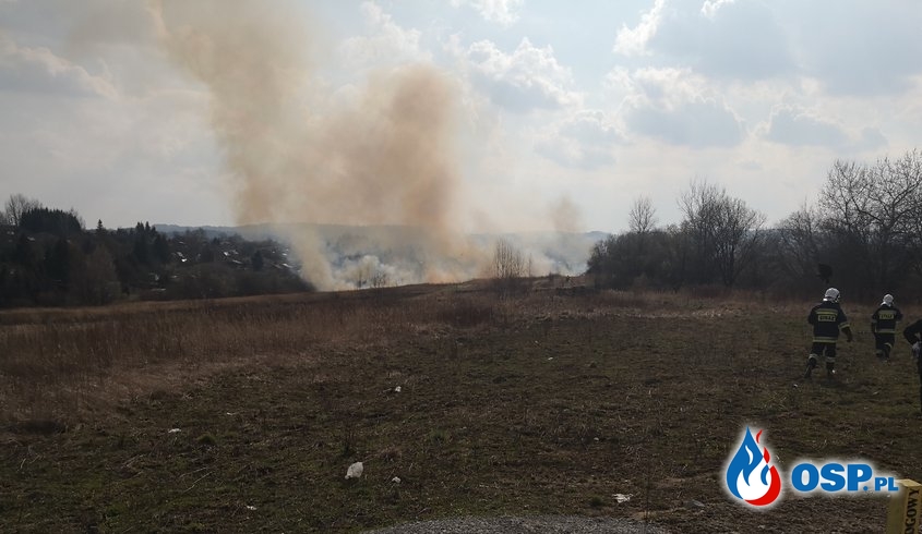 Kolejny pożar suchej trawy w tym miesiącu OSP Ochotnicza Straż Pożarna