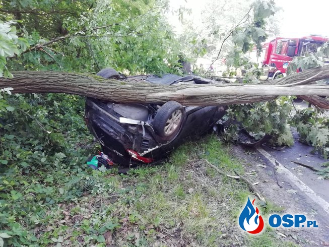 Drzewo złamało się i przygniotło samochód po dachowaniu. Kierowca był pijany. OSP Ochotnicza Straż Pożarna