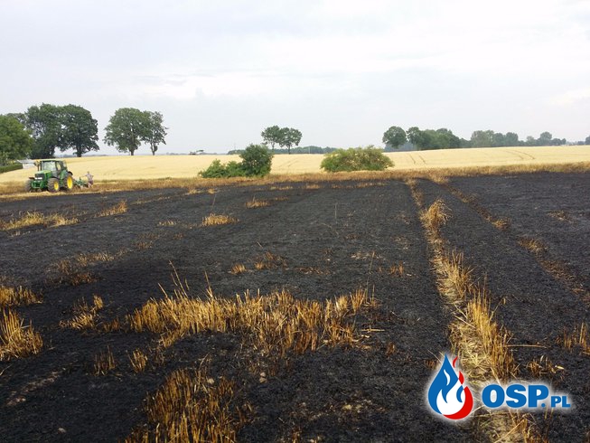 Pożar zboża na pniu w Rostkowicach OSP Ochotnicza Straż Pożarna