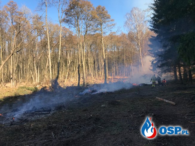 40/2021 Pożar lasu - alarm fałszywy OSP Ochotnicza Straż Pożarna