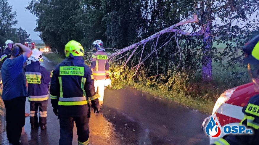 Powalone drzewo blokowało drogę OSP Ochotnicza Straż Pożarna