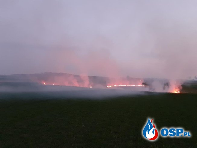 Pożar nieużytków OSP Ochotnicza Straż Pożarna