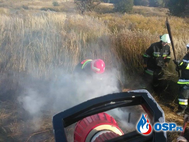 04.10.2015r. 15:40 Pożar traw i nieużytku rolnego OSP Ochotnicza Straż Pożarna