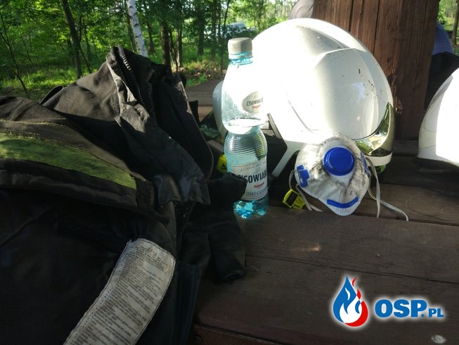 Pożar lasu w Ligocie Prószkowskiej OSP Ochotnicza Straż Pożarna