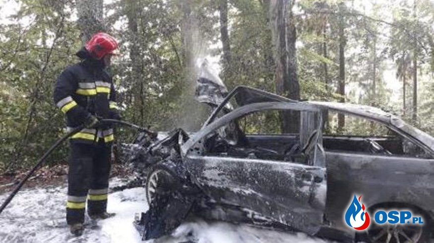 Wypadek i pożar. Auto zapaliło się po zderzeniu z drzewem. OSP Ochotnicza Straż Pożarna