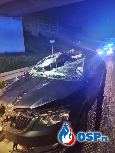 Tragiczny finał zderzenia samochodu z łosiem. Nie żyje 35-latek. OSP Ochotnicza Straż Pożarna