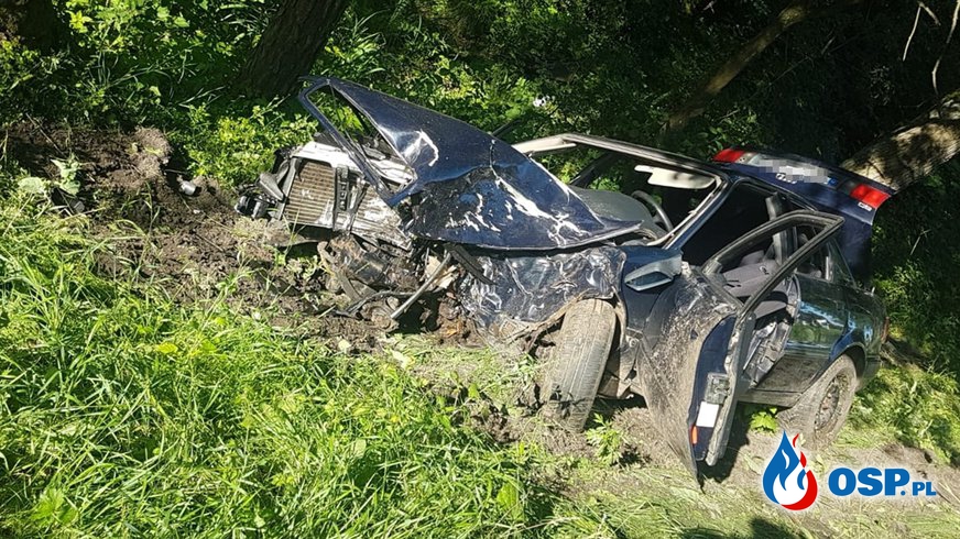 Audi rozbiło się na drzewie w Kamieńczyku. Trzej młodzi mężczyźni w szpitalu. OSP Ochotnicza Straż Pożarna
