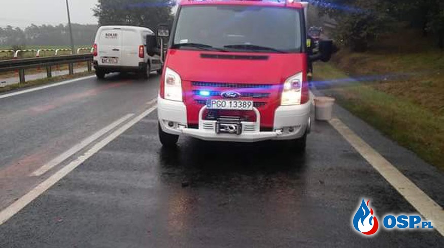 Auta w rowie na trasie Rakoniewice-Wioska OSP Ochotnicza Straż Pożarna