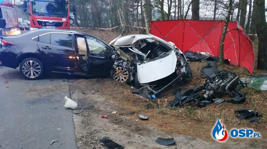 19-latka zginęła w wypadku pod Koninem. Jej auto zostało zmiażdżone. OSP Ochotnicza Straż Pożarna