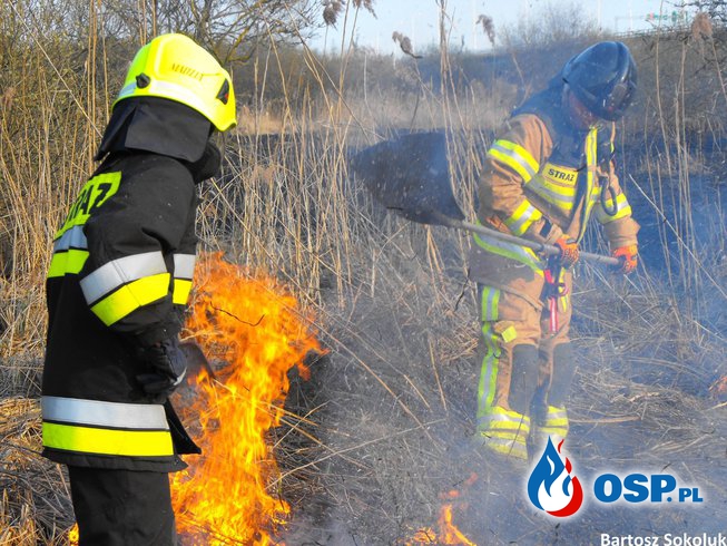 Pożar traw w miejscowości Łysaków OSP Ochotnicza Straż Pożarna