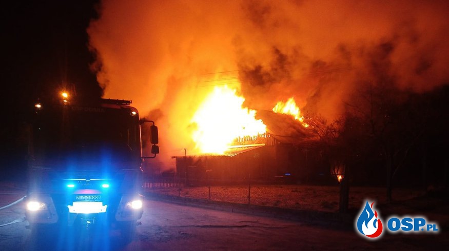 Pożar zabudowań gospodarczych. Nocna akcja gaśnicza w Grzęźnie. OSP Ochotnicza Straż Pożarna