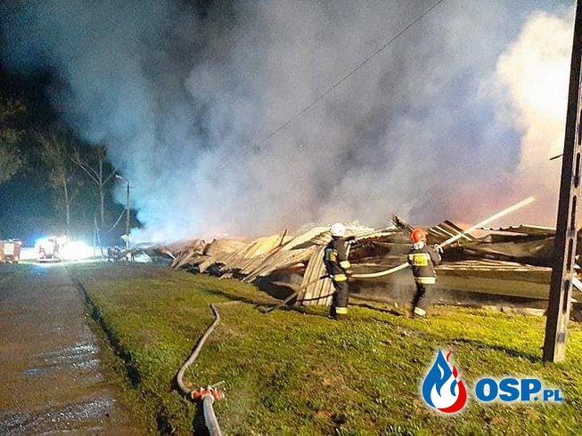Kurnik zawalił się podczas pożaru. Nocna akcja gaśnicza w Lubuskiem. OSP Ochotnicza Straż Pożarna