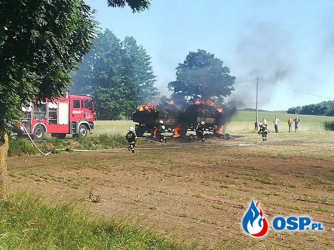 07.06 Pożar dwóch przyczep z sianem oraz trawy przy poboczu DW 201. OSP Ochotnicza Straż Pożarna