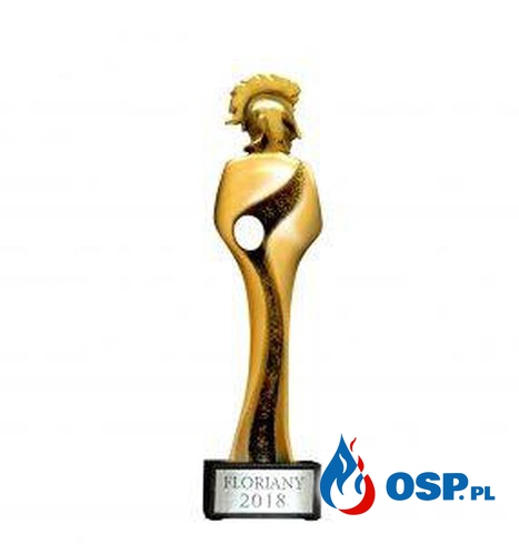 OSP Nowe Miasto nominowane do Strażackiego Oscara OSP Ochotnicza Straż Pożarna