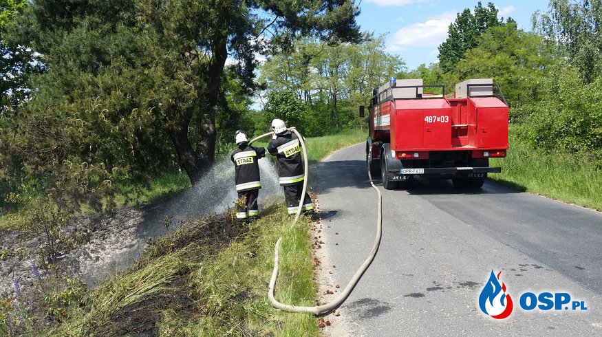 Pożar suchej trawy i drzewa niedaleko lasu za Grabiną OSP Ochotnicza Straż Pożarna