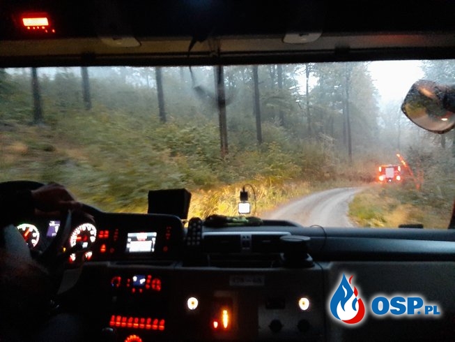 Wyjazd na spotkanie ćwiczebno - integracyjne w Trzebuni OSP Ochotnicza Straż Pożarna