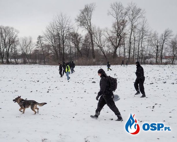 Poszukiwania w Bolestraszycach. OSP Ochotnicza Straż Pożarna