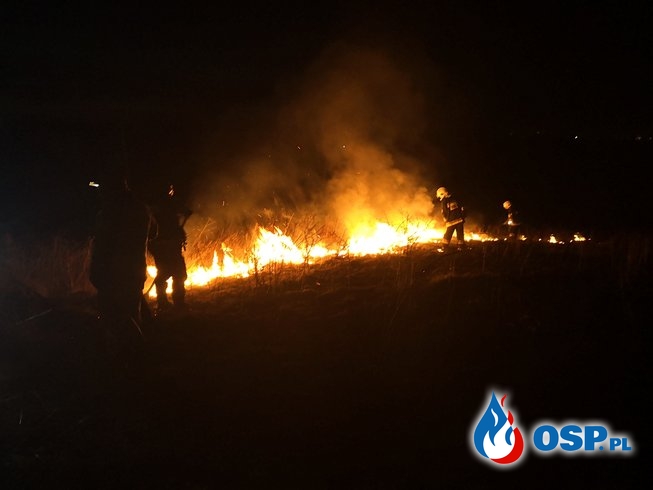 Pierwsze zmagania z pożarem suchej trawy w tym roku OSP Ochotnicza Straż Pożarna