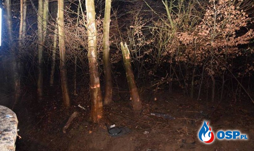 BMW uderzyło w drzewo, dwie osoby zginęły. Tragiczny wypadek pod Tarnowem. OSP Ochotnicza Straż Pożarna