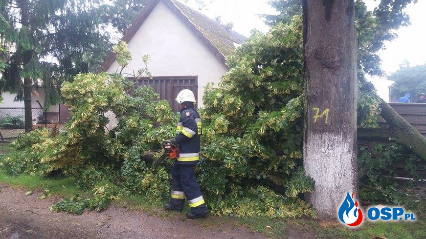 Wiatr złamał gałąź- Budynek lekko uszkodzony OSP Ochotnicza Straż Pożarna