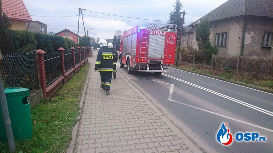 Uwięziona sarna - ul. Zatorska w Olszynach OSP Ochotnicza Straż Pożarna