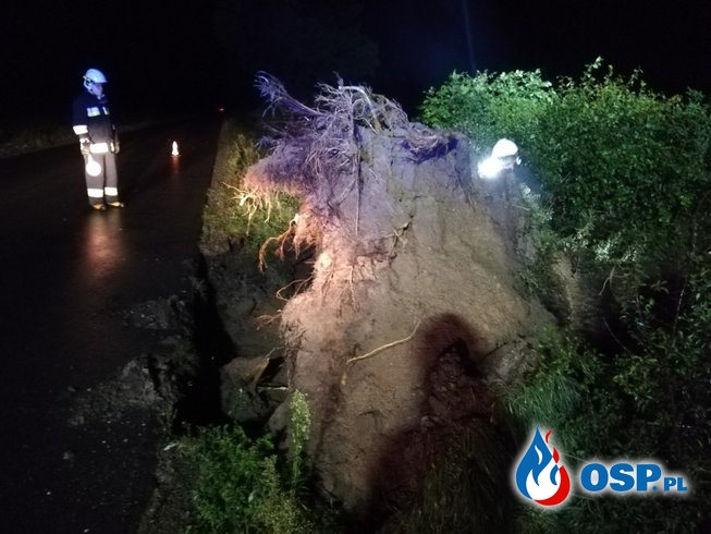 Usuwanie powalonych drzew i wypompowywanie wody OSP Ochotnicza Straż Pożarna