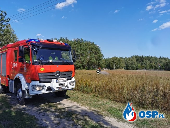 Pożar traw i nieużytków na Bielawach OSP Ochotnicza Straż Pożarna
