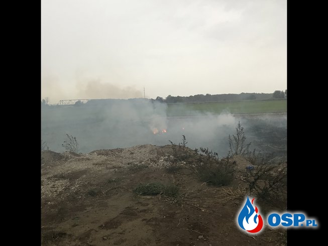 Pożar torfowiska w Krajniku Dolnym OSP Ochotnicza Straż Pożarna