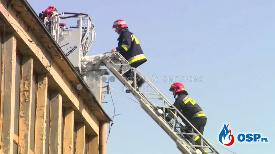 Pożar hali z tekstyliami w Pabianicach. W akcji ponad 100 strażaków! OSP Ochotnicza Straż Pożarna