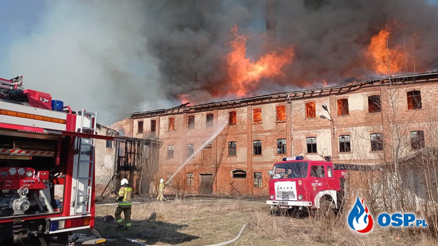 Pożar budynku byłej cegielni w Szydłowie OSP Ochotnicza Straż Pożarna