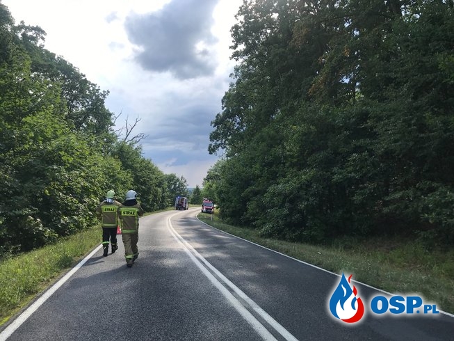 Wypadek na Drodze Wojewódzkiej nr.122 OSP Ochotnicza Straż Pożarna