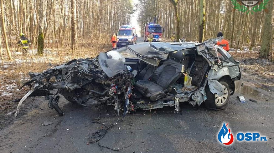 Auto roztrzaskało się na drzewie, kierowca zginął. Tragiczny wypadek pod Stargardem. OSP Ochotnicza Straż Pożarna