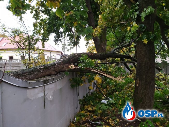Wyjazd do powalonych drzew OSP Ochotnicza Straż Pożarna