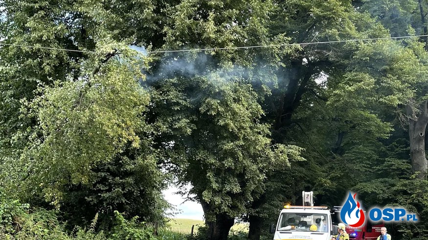 Drzewo spadło na linię energetyczną OSP Ochotnicza Straż Pożarna