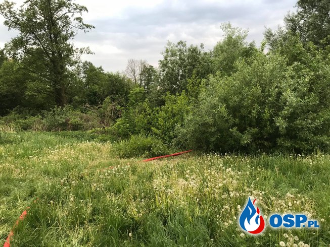Pożar trawy w Glinojecku OSP Ochotnicza Straż Pożarna