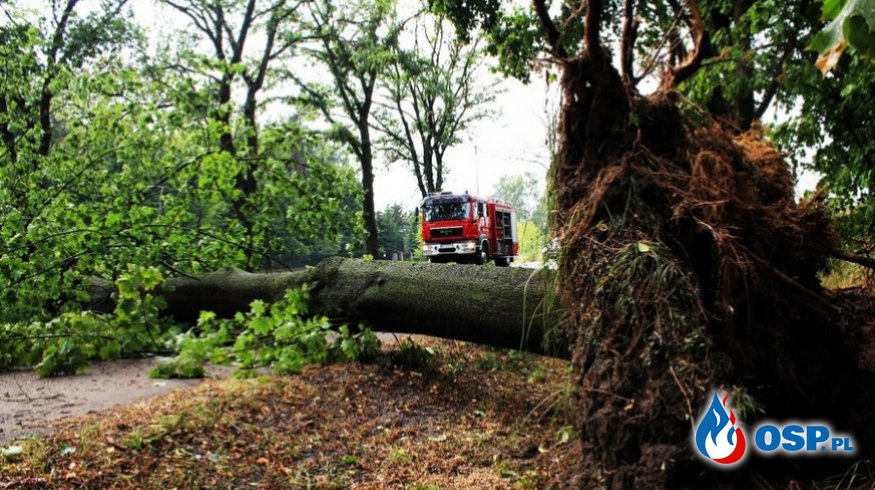 Burza i powalone drzewa OSP Ochotnicza Straż Pożarna