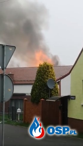Pożar opuszczonego młyna w Toszku, w akcji 10 zastępów strażaków OSP Ochotnicza Straż Pożarna