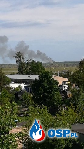 Pożar tartaku w Smulsku, w Wielkopolsce. W akcji ponad 30 zastępów. OSP Ochotnicza Straż Pożarna
