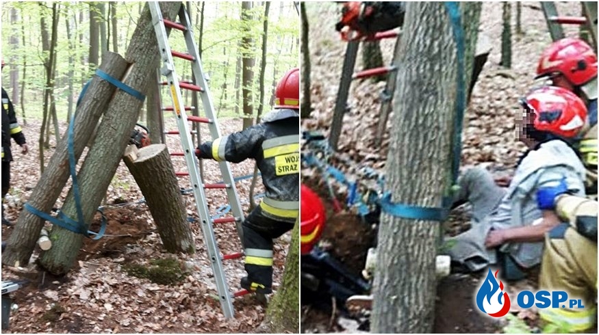 Drzewo przygniotło nogę mężczyzny. Trudna akcja ratowników w lesie. OSP Ochotnicza Straż Pożarna
