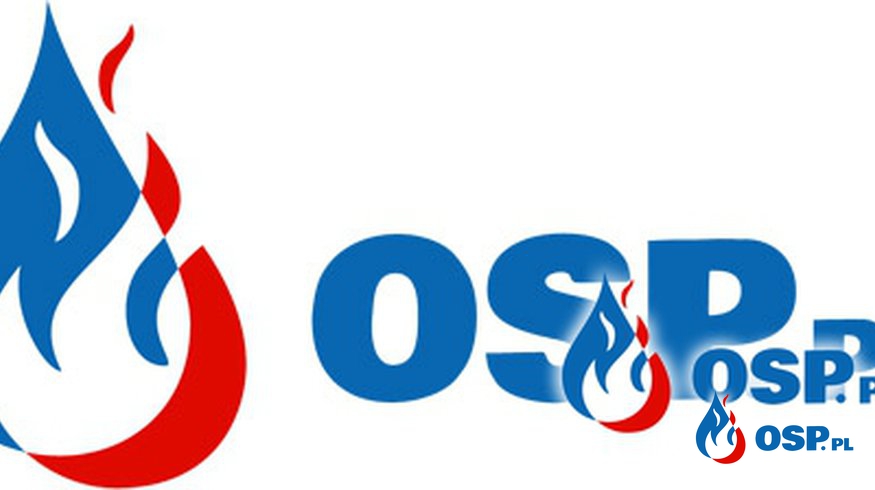 Zwisające konary. OSP Ochotnicza Straż Pożarna