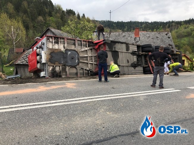 Ciężarówka wioząca świnie wypadła z drogi i przewróciła się na bok OSP Ochotnicza Straż Pożarna