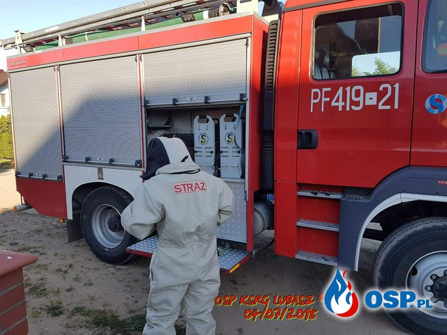 Owady błonkoskrzydłe OSP Ochotnicza Straż Pożarna