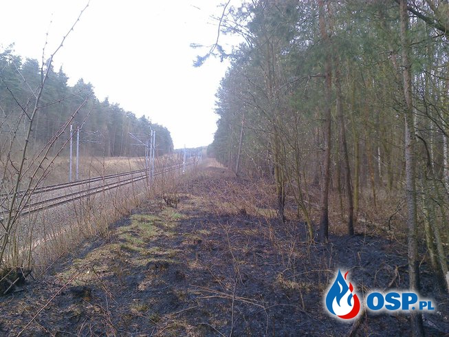 Pożar trawy w Bielawach OSP Ochotnicza Straż Pożarna