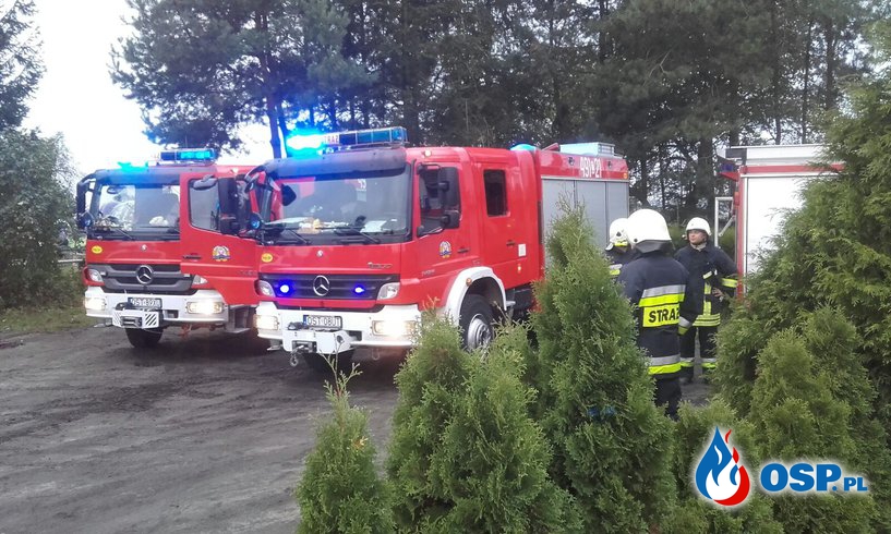 Pożar w budynku jednorodzinnym w Boryczy OSP Ochotnicza Straż Pożarna