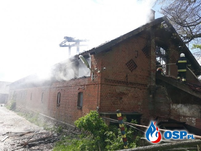 Pożar budynku inwentarskiego w Lisach. Obiekt doszczętnie spłonął. OSP Ochotnicza Straż Pożarna