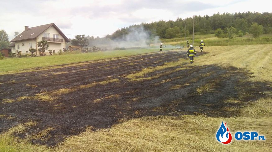 Pożar trawy w Biertowicach. OSP Ochotnicza Straż Pożarna